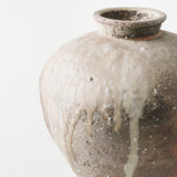 Shigaraki Tsubo (Vessel)