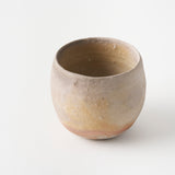 Shigaraki Tea Bowl