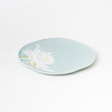 Moist Epiphyllum with color Plate