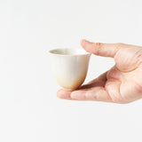 Rinka Tea Cup / Daffodil
