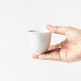 Rinka Tea Cup / Glossy White