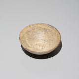 Masahiro Sakakura - Dai-no-tsuchi Sake Cup in Box, Daido-Kohiki Style (White Slip)